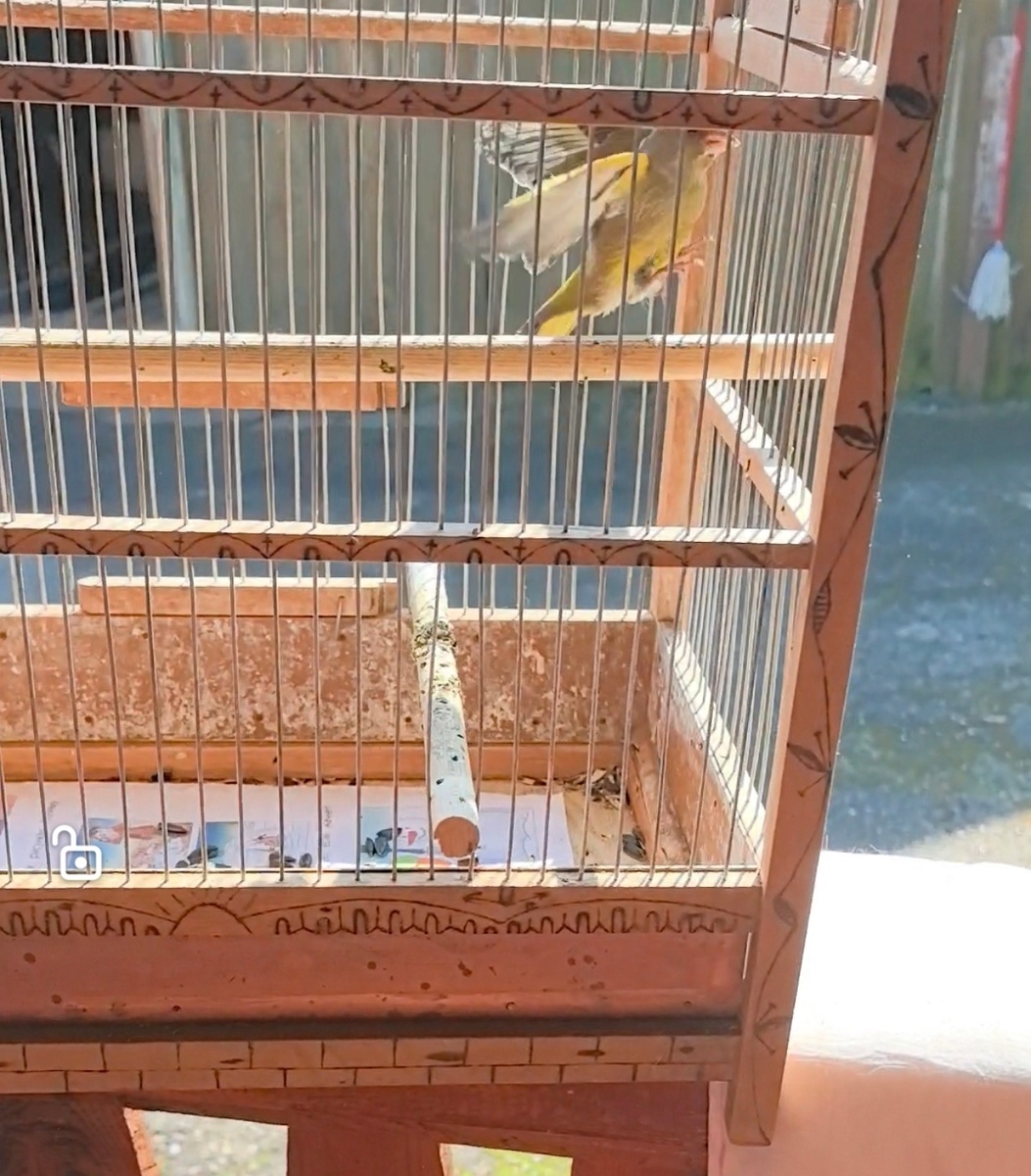 Фотографироваться Гоша не хотел