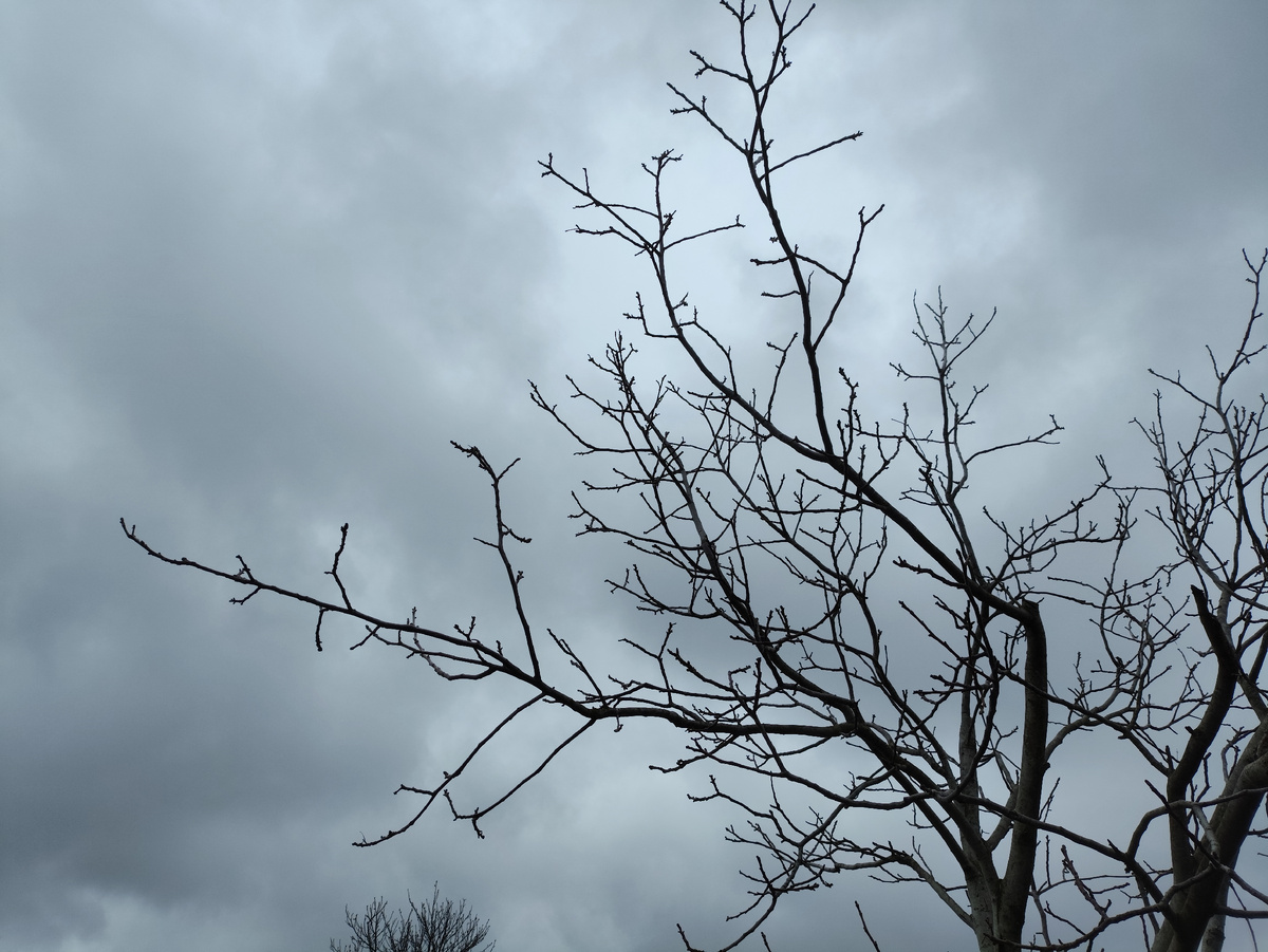 Небо хмурится