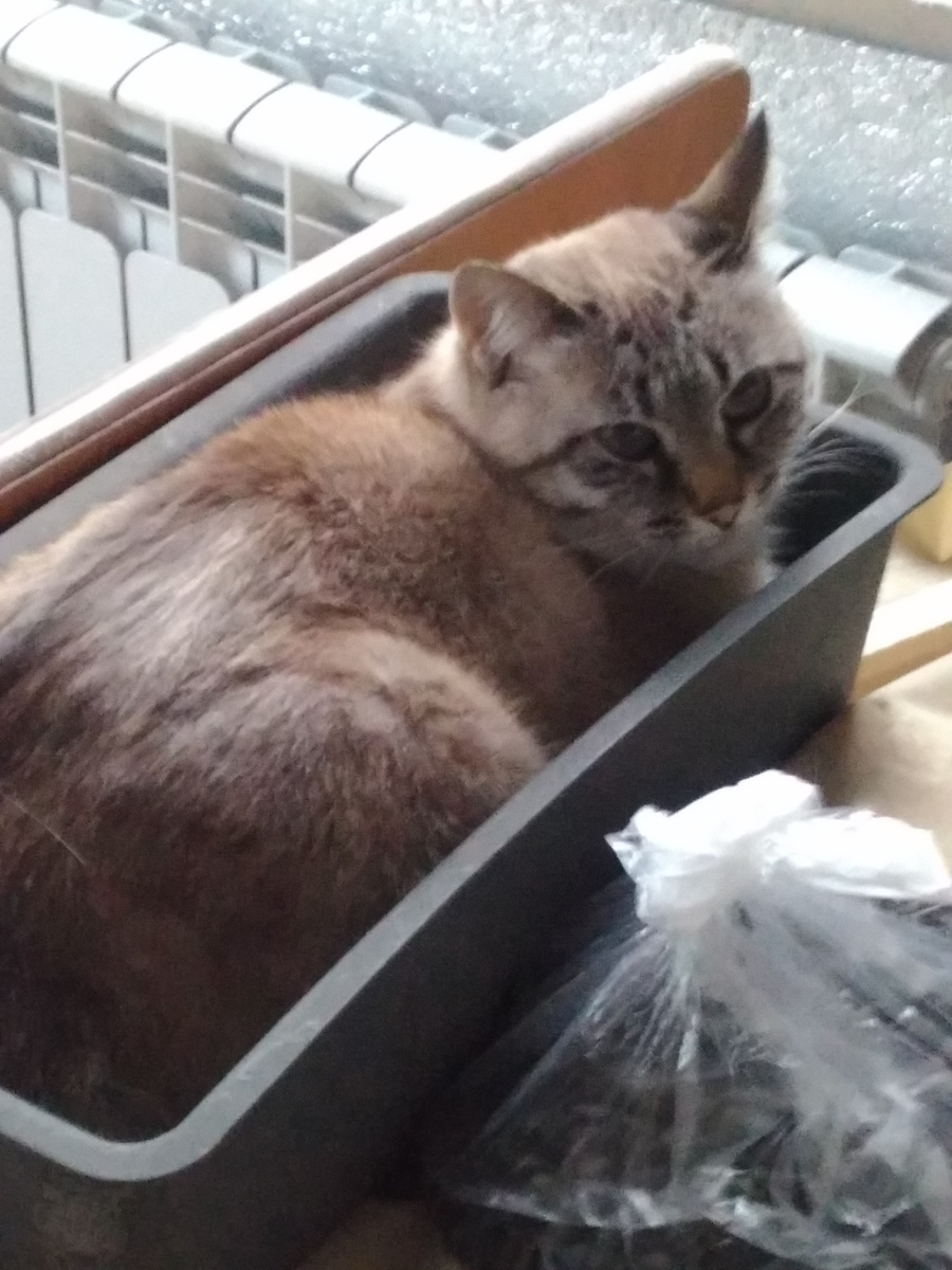 С ней лучше не спорить