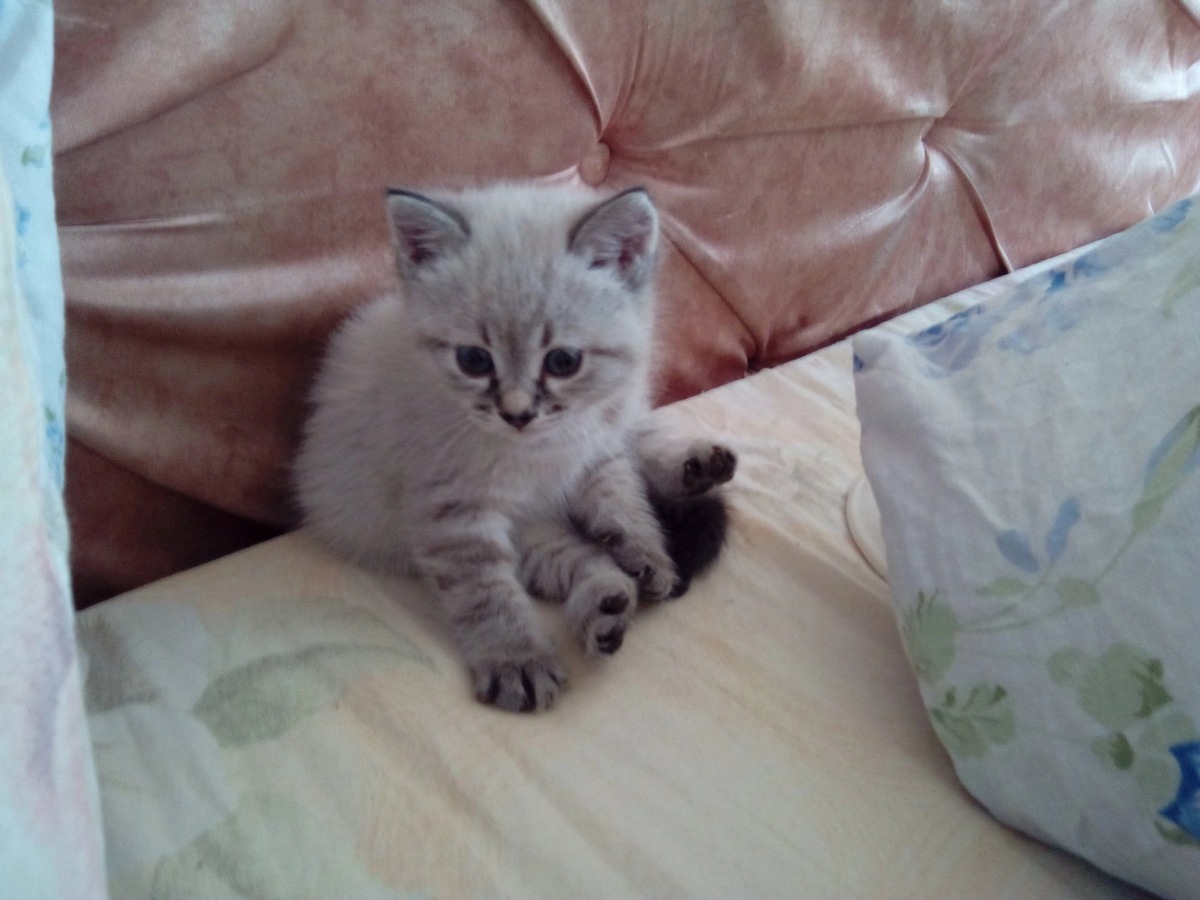 Лирическое настроение