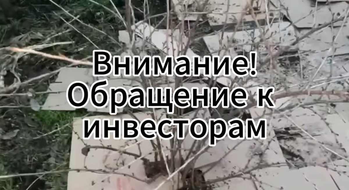 Скрин из видео с канала "Плодородие земли"