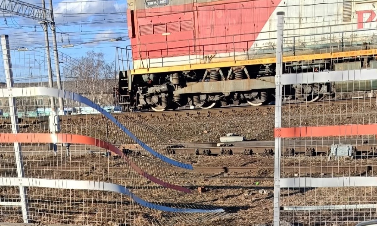    фото: © Железнодорожный (Пятый посёлок) | Рыбка