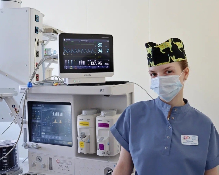     В Курске прооперировали 3-летнего ребенка с гигантской кистой мозга