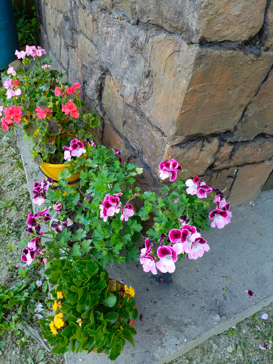 Композиция, конечно, так себе.