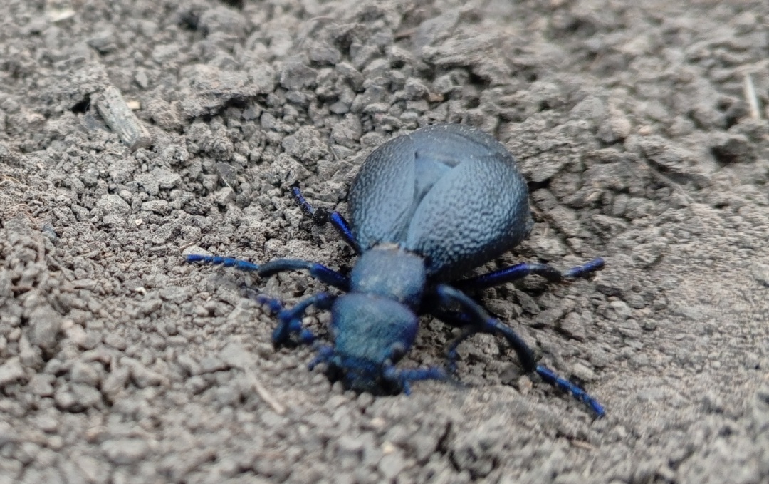 Фото авторов