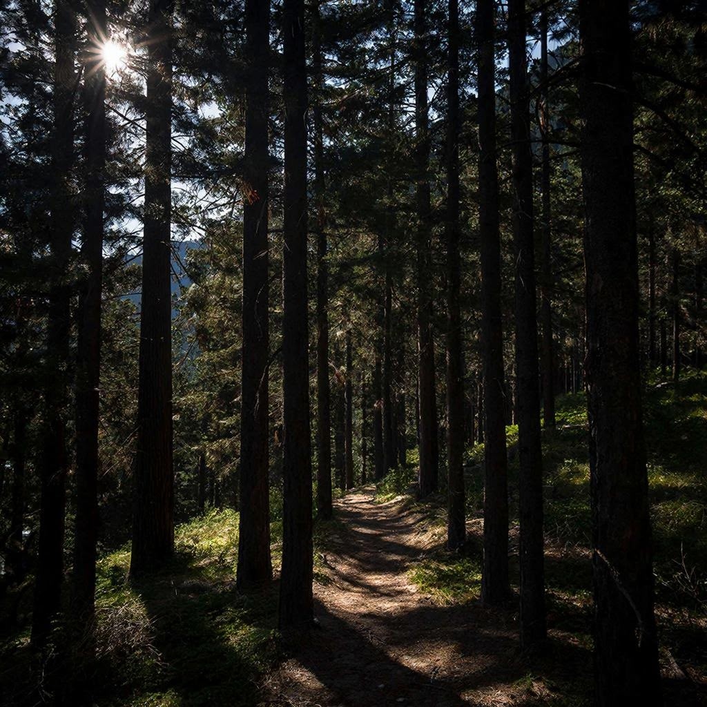 фото из интернета.