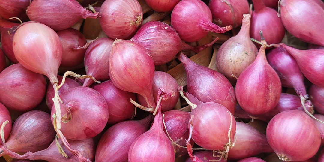 Три ошибки когда лук может застрелковаться.