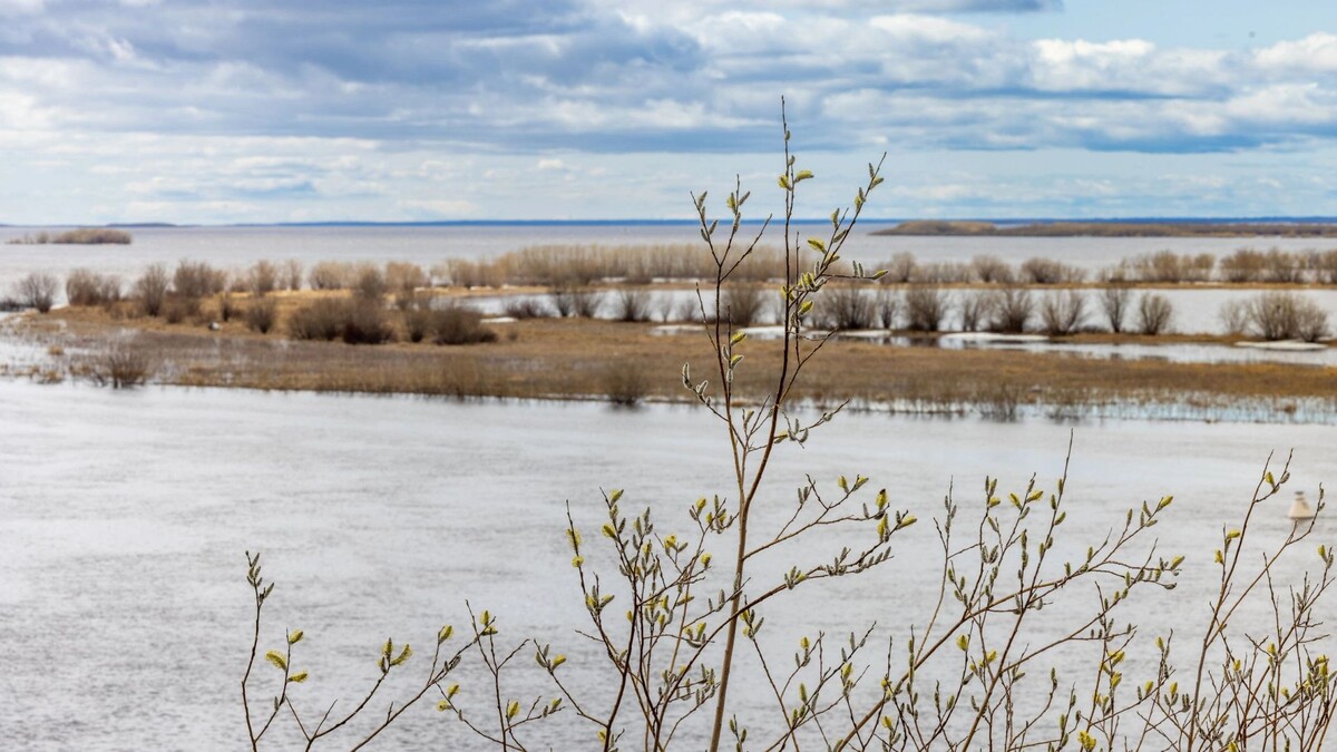    Фото: Федор Воронов/«Ямал-Медиа»