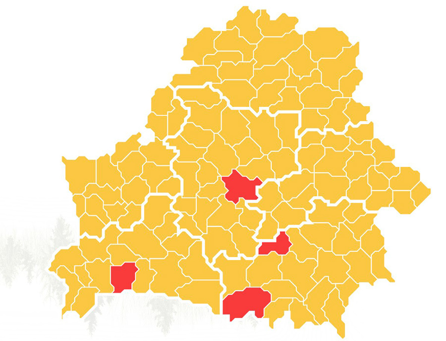    Фото: Минлесхоз