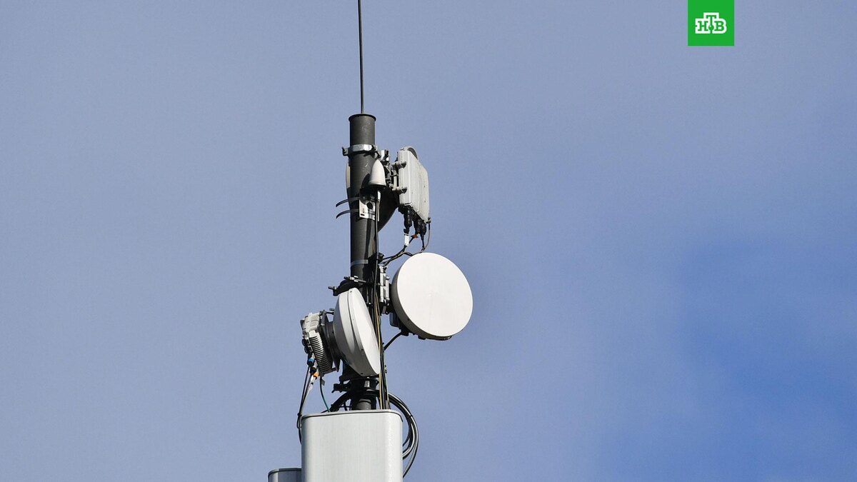    Фото: РИА Новости © 2026, Михаил Воскресенский