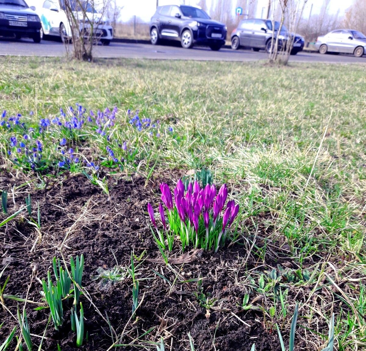 На солнечной стороне уже весна-весна!