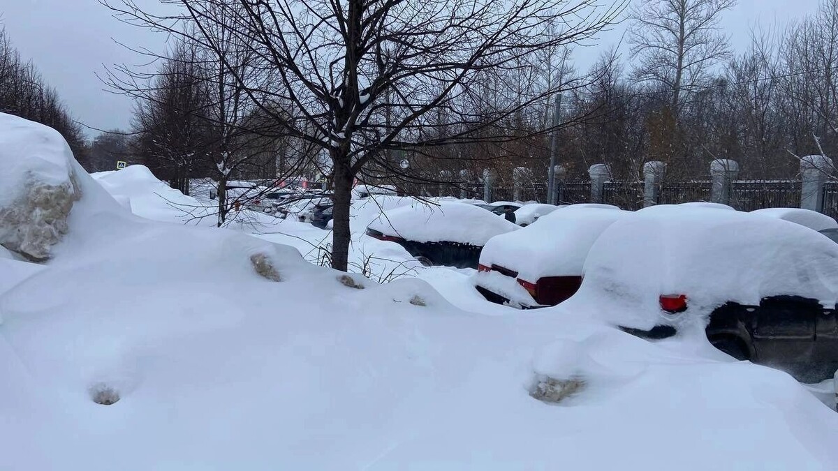    Зима в Казани   inkazan.ru