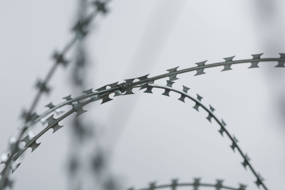    Алексей Белкин/NEWS.ru