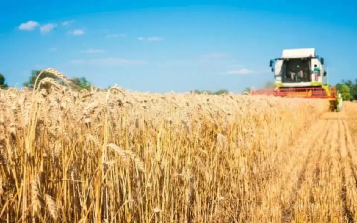    «Уралхим» заинтересовался покупкой национализированного зернотрейдера «Родные поля» Фото – ru.freepik.com