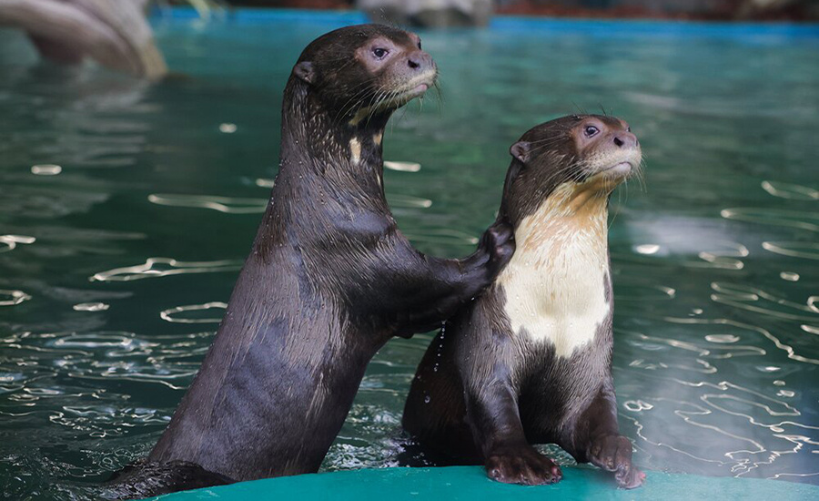    ©Агентство городских новостей "Москва"