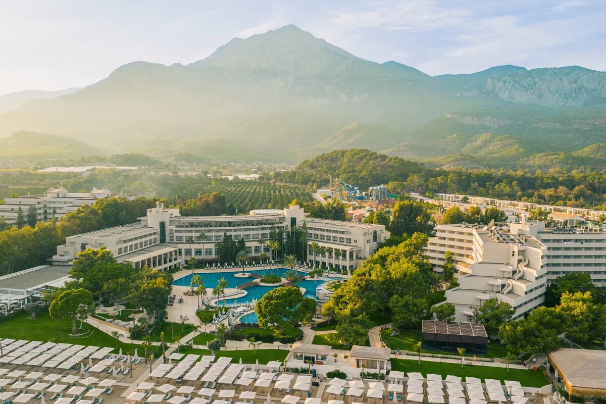 Как выглядит