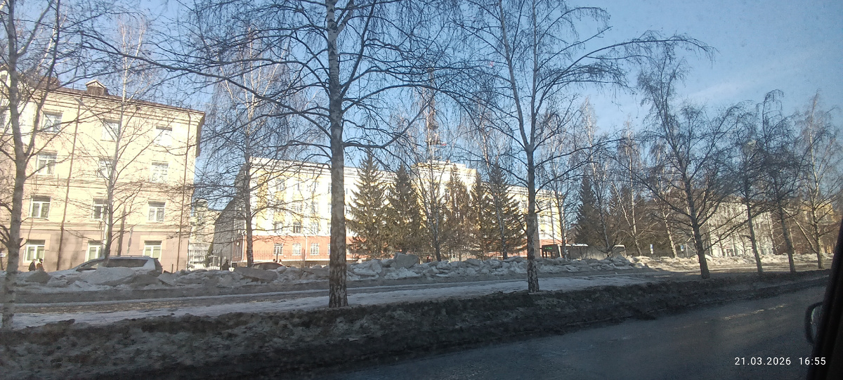 Где-то на просторах моего города. Фотография автора, март 2026 года. 