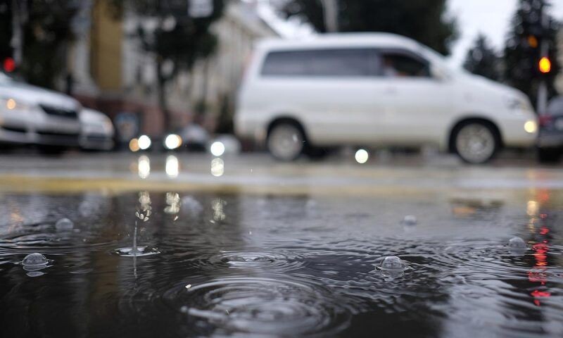    Фото Николая Хижняка, «Кубань 24»