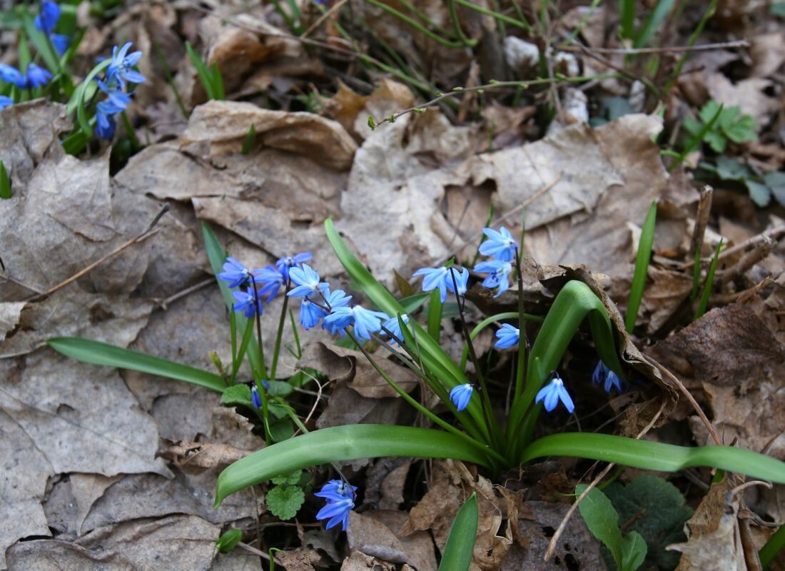    Фото: Игорь Филонов