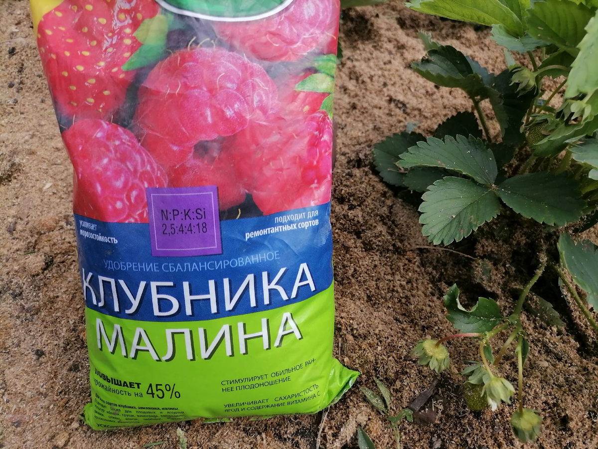 ������, �����������, ��������� �������� �������� � ��������������: ����� ����������, ����������� �������, ������� � ��������� ��������, ���� ������