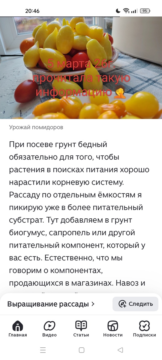 Такие рекомендации думаю не только к грунту у томатов относятся😏