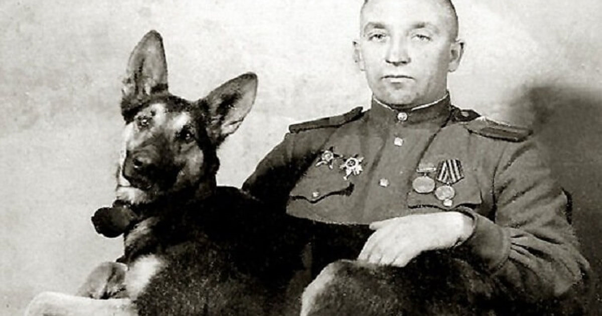 Командира 37-го отдельного батальона разминирования Александр Мазовер с собакой-сапером Джульбарсом. Фото из откртытых источников "Яндекс.Картинки".