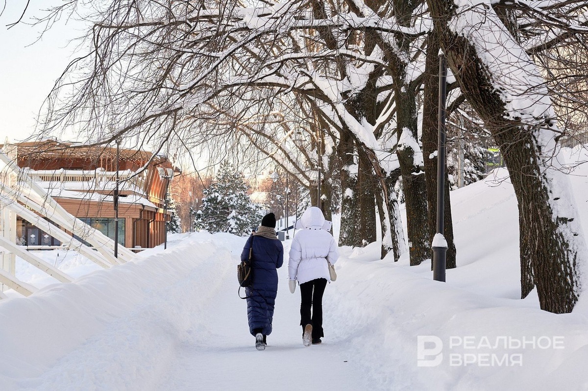   Динар Фатыхов / realnoevremya.ru