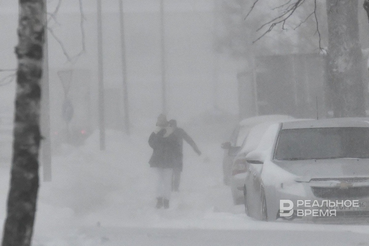   Максим Платонов / realnoevremya.ru