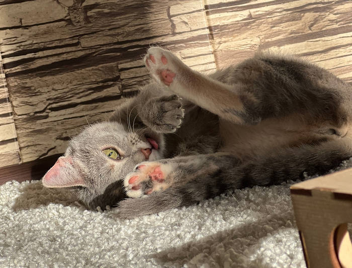 Листайте вправо, чтобы увидеть больше изображений