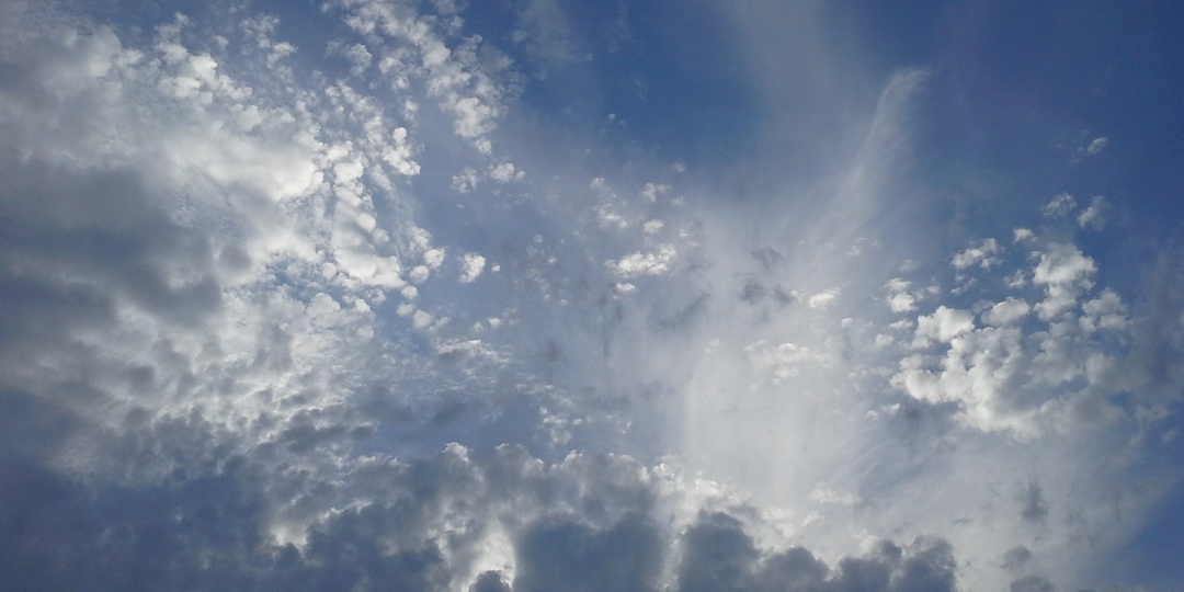 В Запорожье 31 марта воздух прогреется до +14 градусов