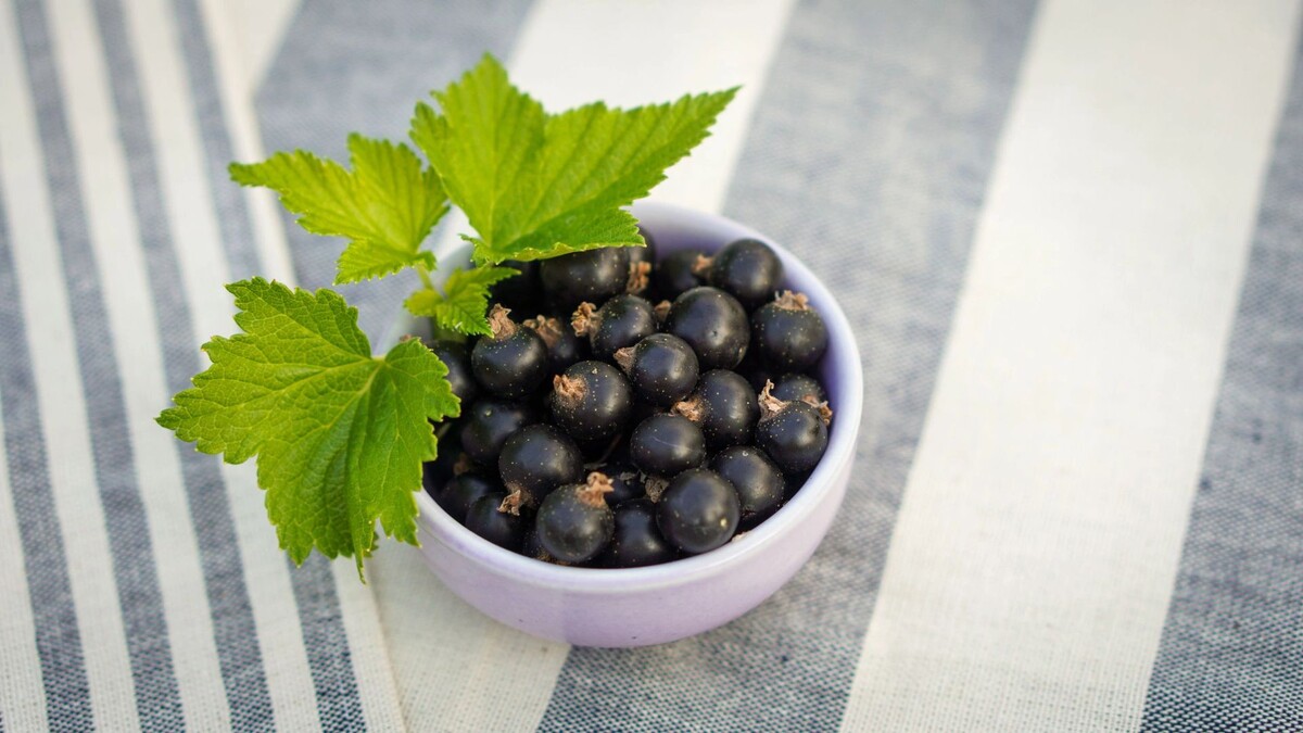    Фото: Юлия Чудинова/«Ямал-Медиа»