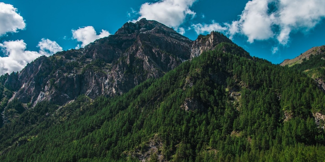 Море и горы: отпуск в спа-отеле «Черноморская Жемчужина»