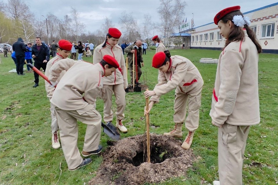    Акцию "Сад памяти" проводят в ЛНР третий год подряд Константин КНЯЗЕВ