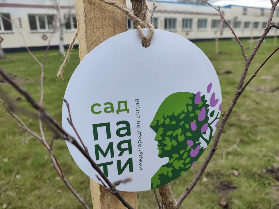    Акцию "Сад памяти" проводят в ЛНР третий год подряд Константин КНЯЗЕВ