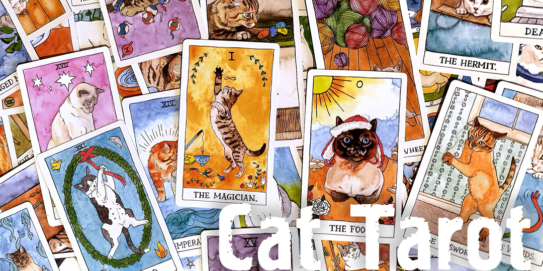 Обзор колоды: Cat Tarot (Таро кошек / Таро котиков)