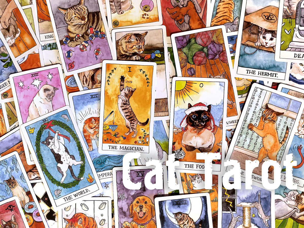 Чтобы изучить любую из картинок на этой странице в крупном виде, нажмите на неё правой кнопкой мышки и выберите в меню "Открыть в новой вкладке" (фото: моё)