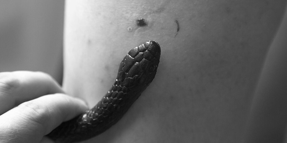    Фото: 123RF.com/eanstudio