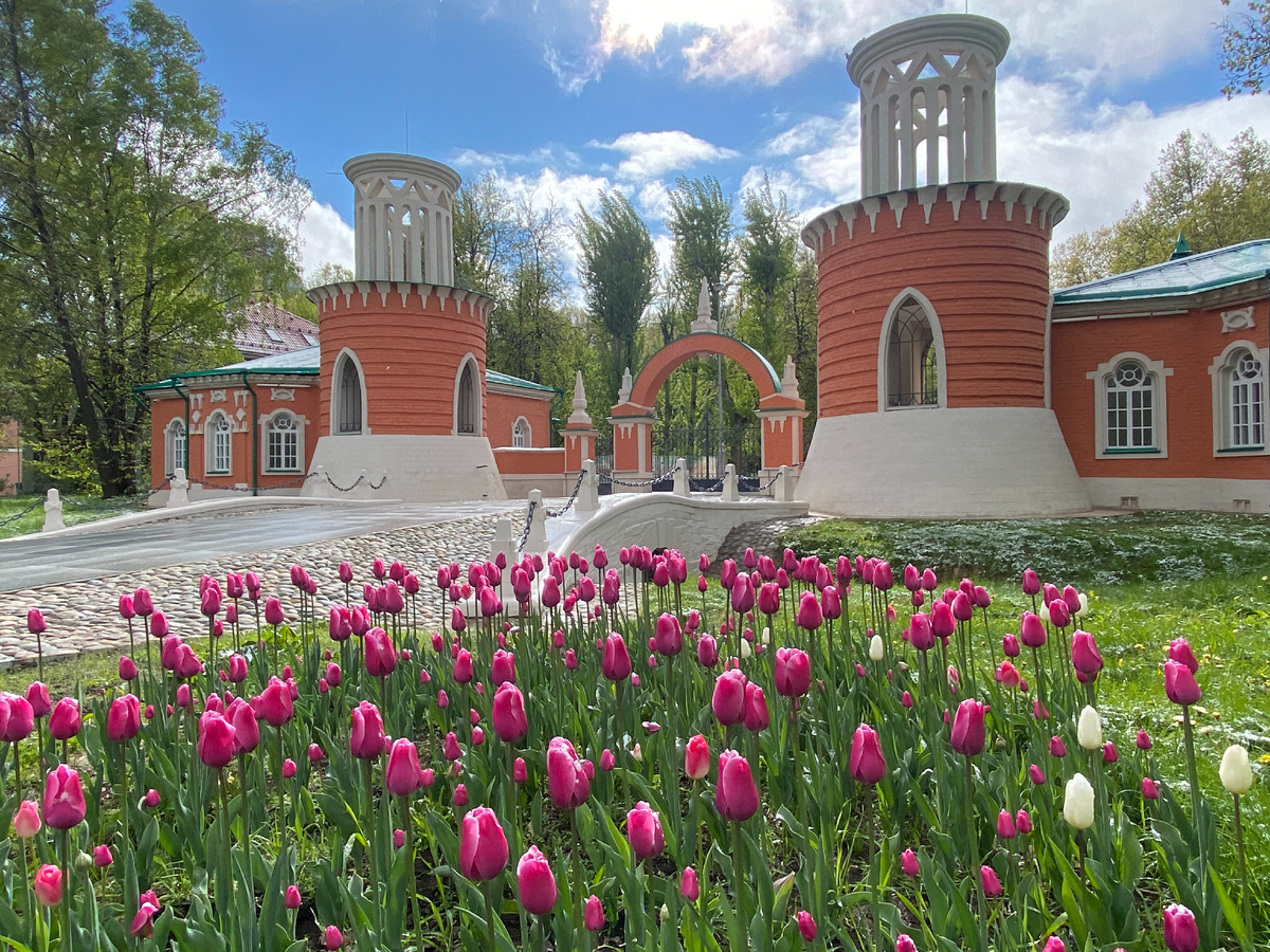 Усадьба Воронцово