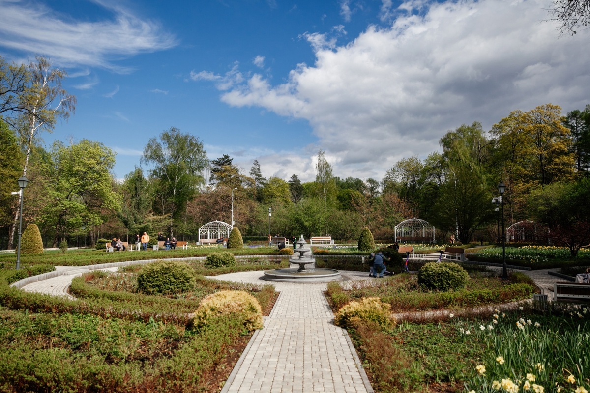 Парк «Сокольники»