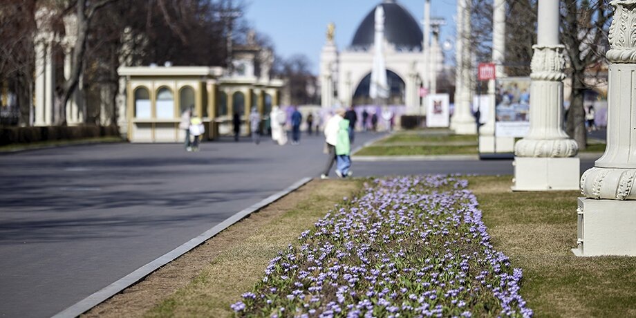    Фото: портал мэра и правительства Москвы/Максим Денисов