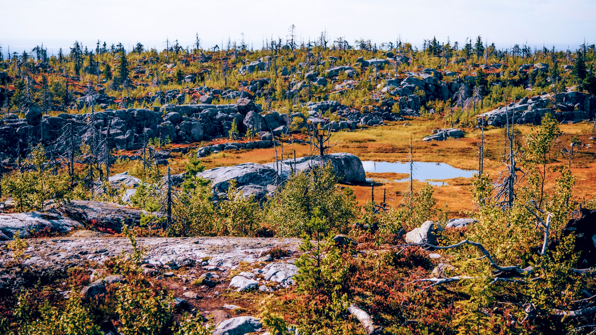 Панорамы Воттоваары, Карелия