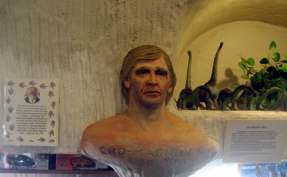     Кроманьонец   
CC BY-NC-SA M.V. Jantzen flickr.com