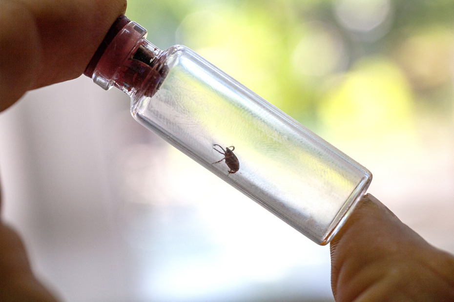    Shutterstock/FOTODOM