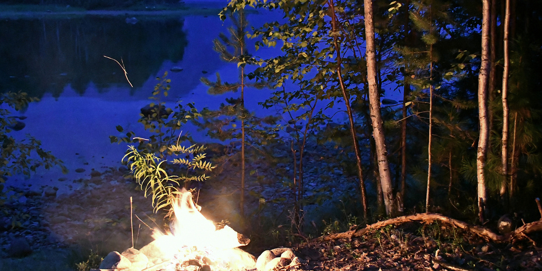 Один на один: как я пережила встречу с медведем в байкальской тайге