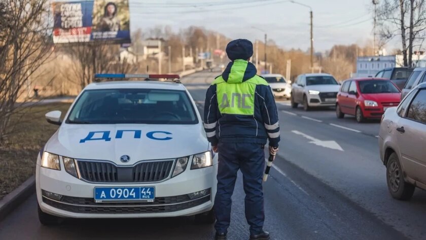    Фото: УМВД по Костромской области