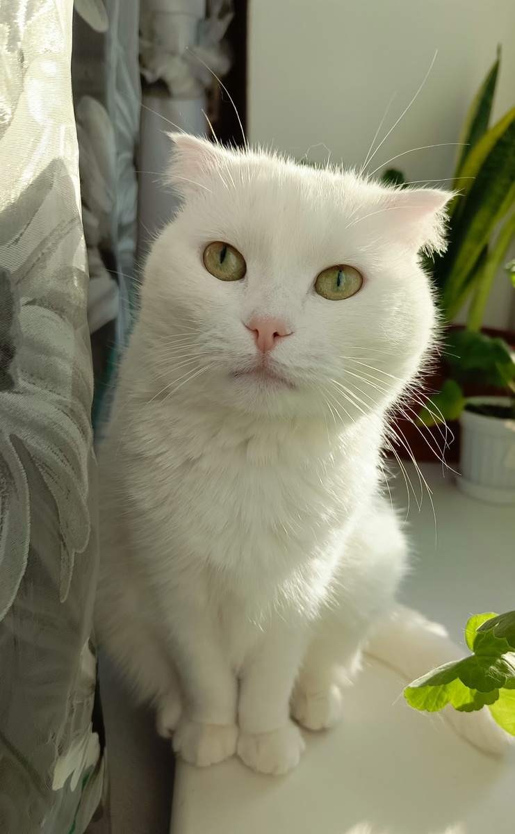 Азурка. Фото автора.