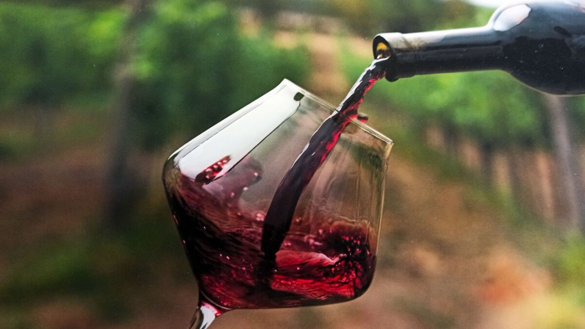 Вино
© Туристический портал Республики Крым, Ирина Ульева