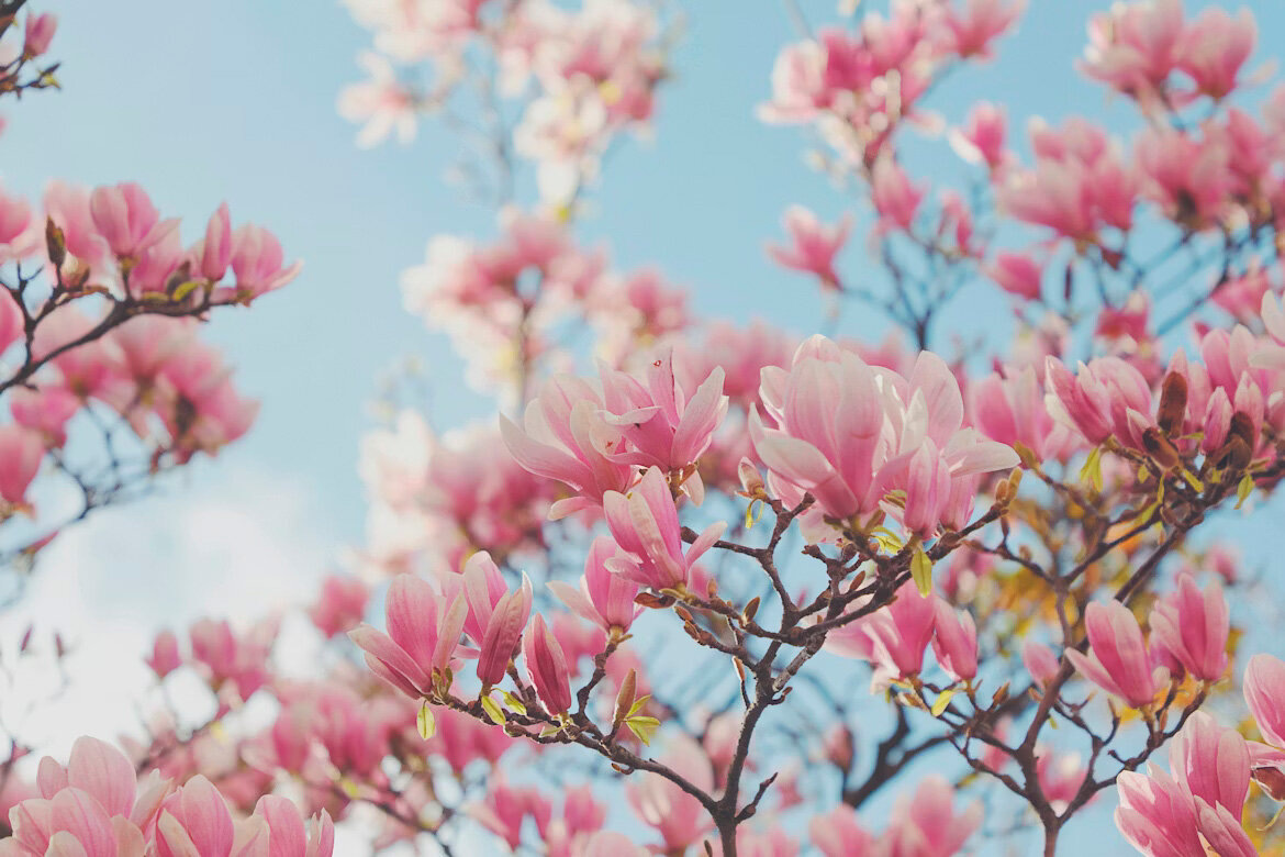 Фото: HAN Mengqi / Unsplash