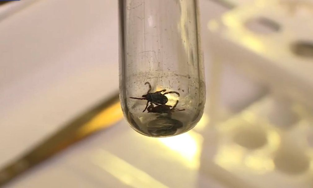    Фото: СвоёТВ Сергей Иванов