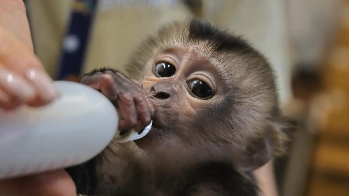    Фото: max.ru/id7813671209_gos